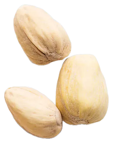 Pistachenoten in dop